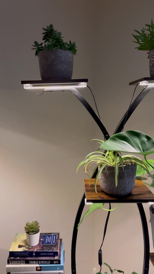 Indoor Plant Rack with Grow Lights – 7 Tier Corner Shelf